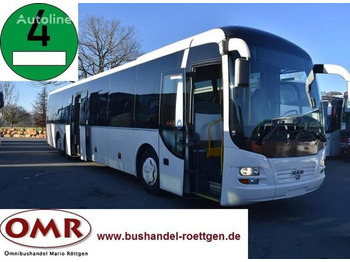 Bus interurbain MAN R 13 Lion`s Regio: photos 1