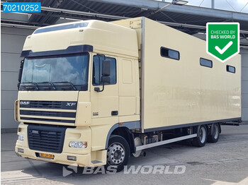 DAF XF95.380 6X2 NL-Truck Pferdetransporter Horses Euro 3 - camion chevaux