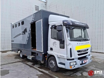 Camion bétaillère Iveco Eurocargo 120 E 22 horse truck paarden: photos 1