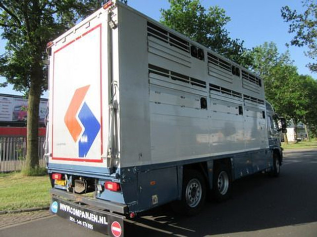 Camion bétaillère Volvo FM 9: photos 18
