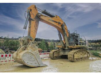 Pelle sur chenille Liebherr R 980 SME