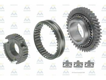  AM Gears 62481 MASIERO Synchronkit + Umkehrrad passend BMW 62481 - Boîte de vitesse et pièces