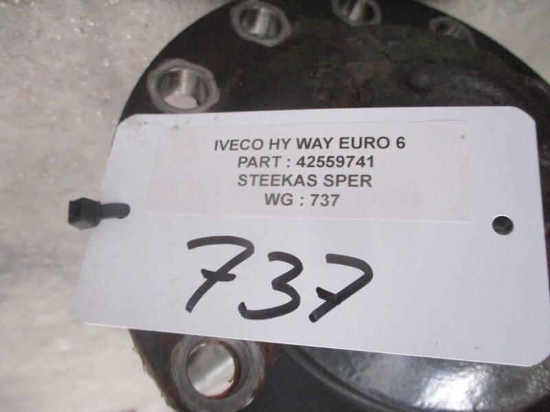 Frame/ Châssis pour Camion Iveco 42559741 STEEK MET SPER HI WAY EURO 6: photos 2