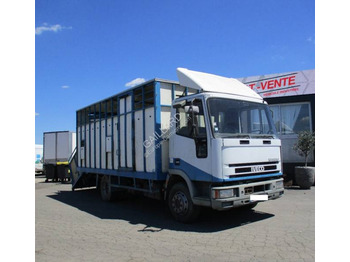 Camion bétaillère IVECO EuroCargo 80E