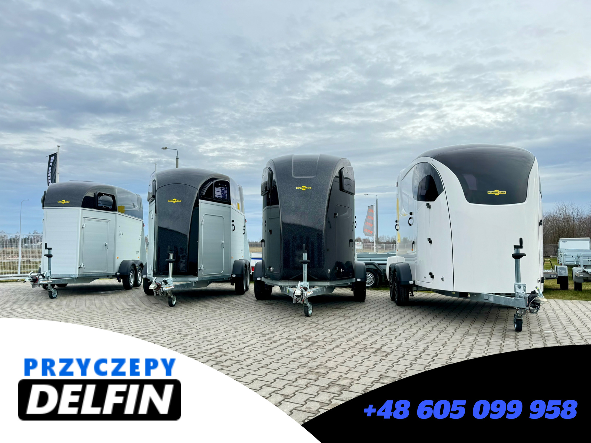 ZPHU DELFIN Gruszkiewicz Andrzej - Annonce de vente undefined: photos 4