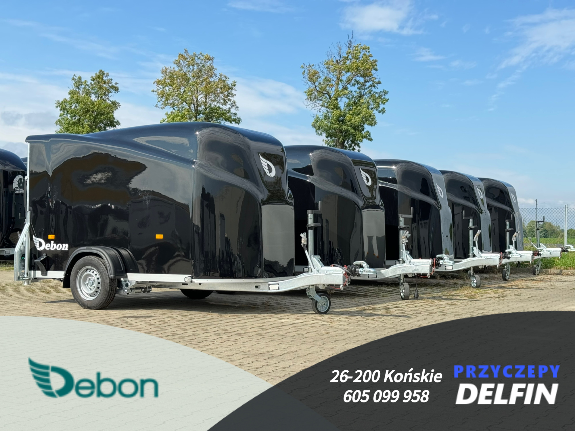 ZPHU DELFIN Gruszkiewicz Andrzej - Annonce de vente undefined: photos 6