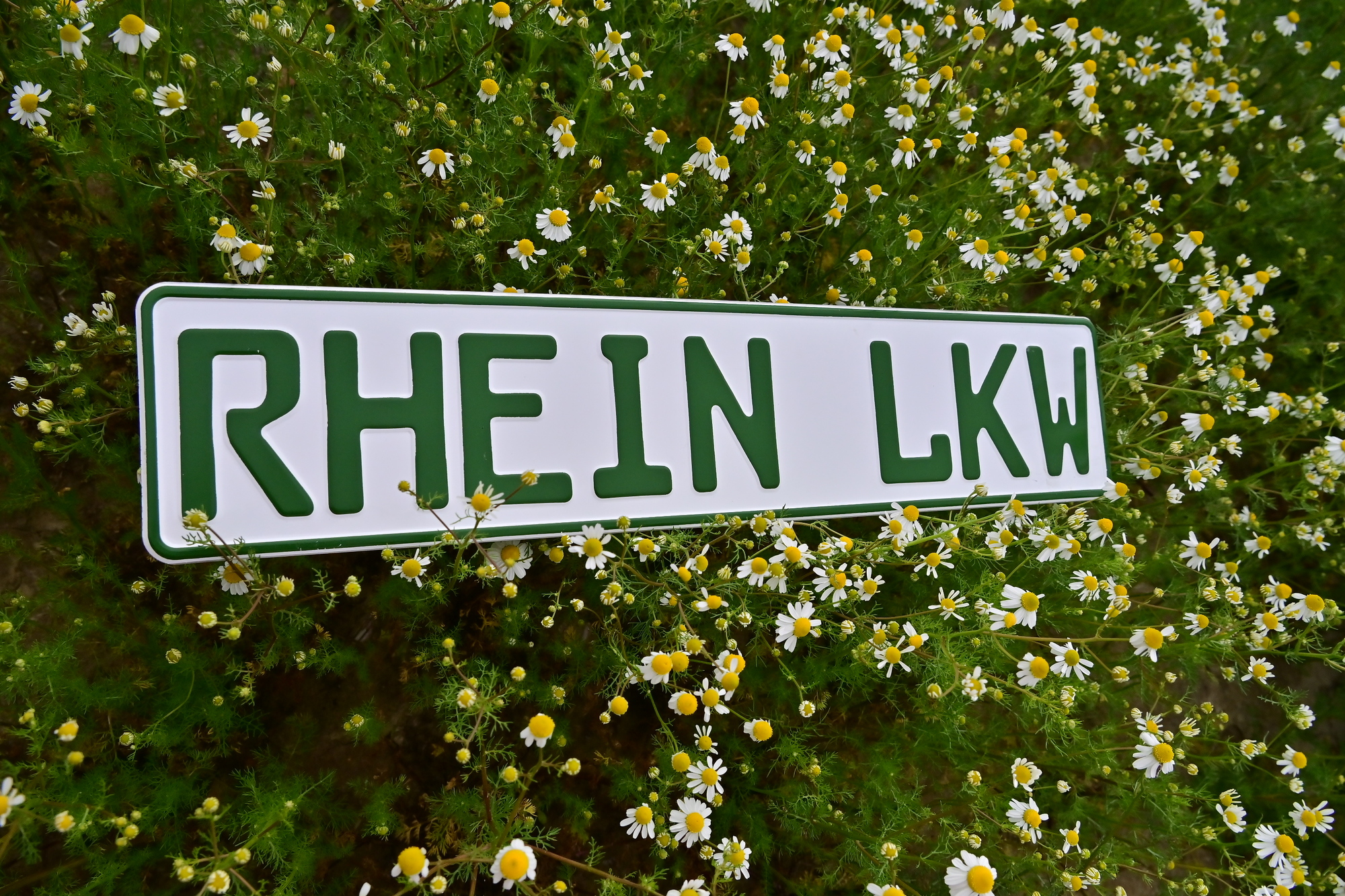 Rhein Trucks GmbH undefined: photos 8