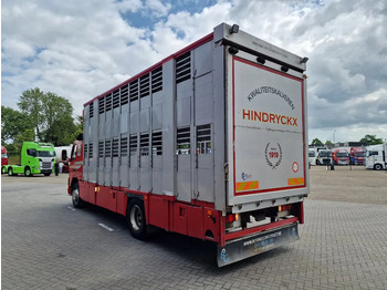 Camion bétaillère Volvo FM 250 4x- Livestock 2 deck - Lifting floors - Loadlift - Manual gearbox: photos 5 Camion bétaillère Volvo FM 250 4x- Livestock 2 deck - Lifting floors - Loadlift - Manual gearbox: photos 5