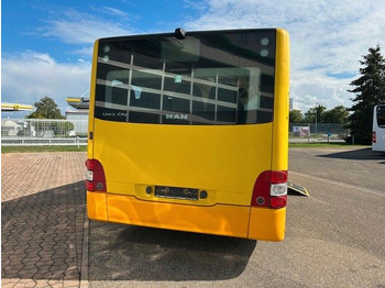 Bus urbain MAN Lions City A21: photos 4