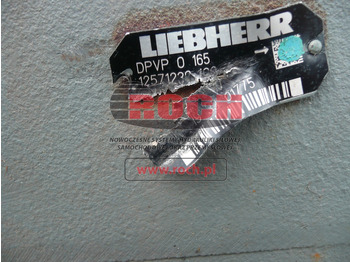 Pompe hydraulique LIEBHERR DPVPO165 ID 12571230..: photos 2