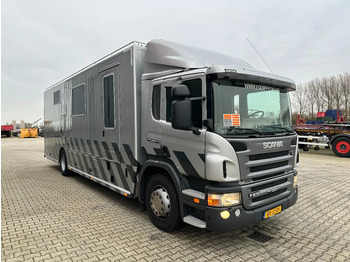 Camion Scania P230 TOP: multifunct. ruimte met airco (camper?), 22kVA generator, hydr. steunpoten, beloopbaar dak, keuken, APK 10-2026: photos 3 Camion Scania P230 TOP: multifunct. ruimte met airco (camper?), 22kVA generator, hydr. steunpoten, beloopbaar dak, keuken, APK 10-2026: photos 3