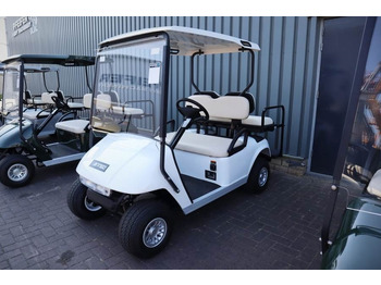 Voiturette de golf BRINGO DG-C2 Valid Inspection, *Guarantee! Dutch R: photos 4