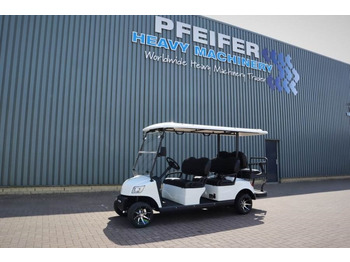 Voiturette de golf BRINGO