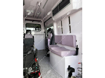 Ambulance ORION FIAT 290 DUCATO: photos 3