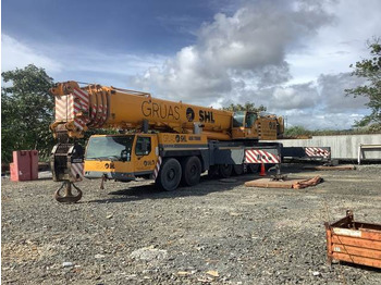 Grue tout-terrain LIEBHERR