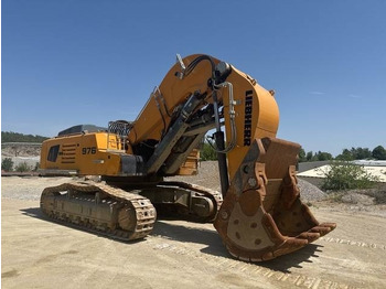 Pelle sur chenille Liebherr R976 HD: photos 4