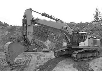 Pelle sur chenille LIEBHERR