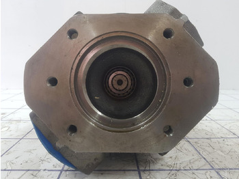 Pompe hydraulique pour Grue Brueninghaus hydr piston pump: photos 4