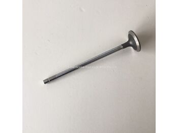 Valve IVECO