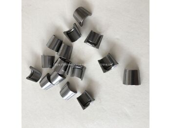 Valve IVECO