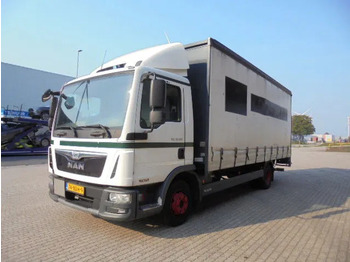 Camion fourgon MAN TGL 10.180