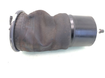 Suspension pneumatique DAF