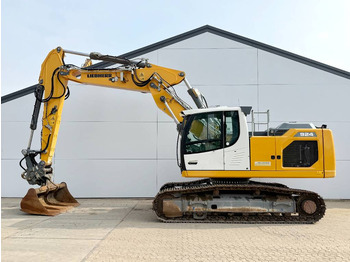 Pelle sur chenille LIEBHERR R 924
