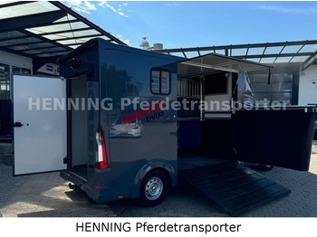 Camion chevaux Opel Movano 3 - Sitzer *AUFBAU NEU*: photos 3