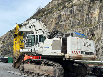Pelle sur chenille LIEBHERR