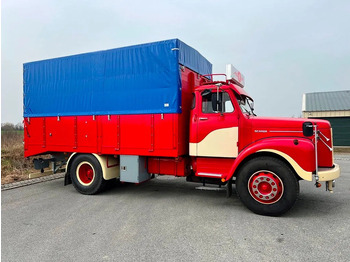 Camion Scania L 80 Super total renovation: photos 3 Camion Scania L 80 Super total renovation: photos 3