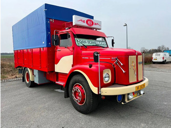 Camion Scania L 80 Super total renovation: photos 2 Camion Scania L 80 Super total renovation: photos 2