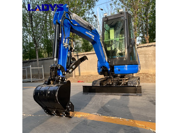 Mini pelle neuf LADYS DY25U Mini Excavator CE Certification Kubota Engine(Factory Outlet) Mini Pelle Minibagger Minikoparka Miniexcavadora: photos 3