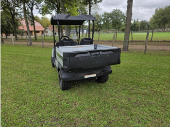 Voiturette de golf neuf YAMAHA umx: photos 4