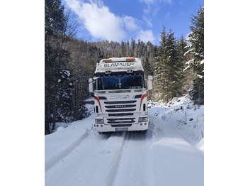 Camion grumier, Camion grue pour transport de bois SCANIA R560 V8: photos 4