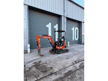 Mini pelle HITACHI ZX19