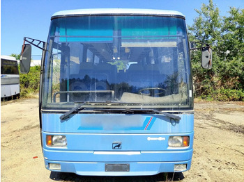 Bus urbain MAN