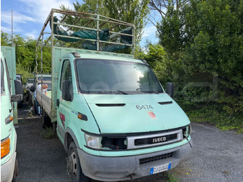 Minibus IVECO