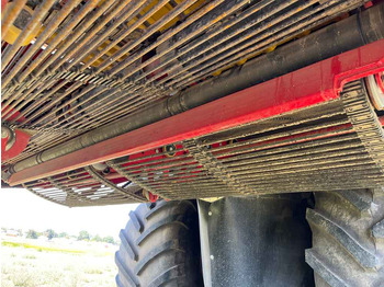 Arracheuse de pommes de terre Grimme VARITRON 470: photos 2