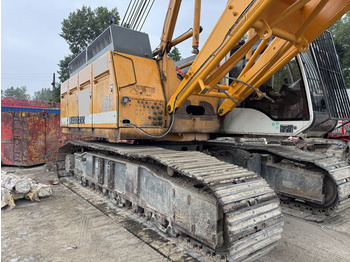 Grue sur chenilles LIEBHERR