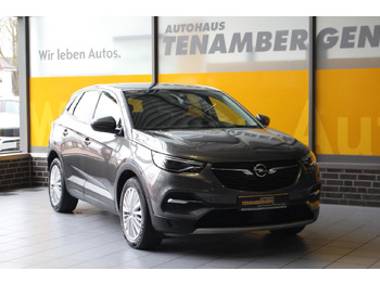 SUV neuf Opel Grandland X Innovation AT-8 Navi Kamera LED AHK: photos 2