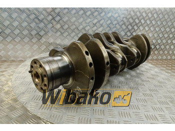 Vilebrequin LIEBHERR