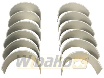 Coussinets de moteur