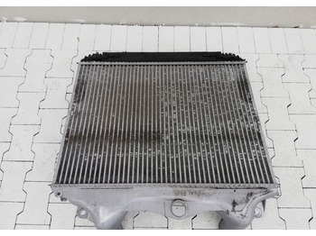 Intercooler INTERCOOLER CHŁODNICA POWIETRZA MAN TGS TGA LX: photos 2 Intercooler INTERCOOLER CHŁODNICA POWIETRZA MAN TGS TGA LX: photos 2