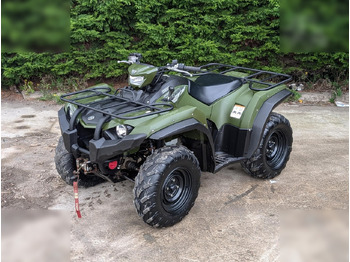 Quadricycle 2021 YAMAHA KODIAK 450 EPS: photos 2