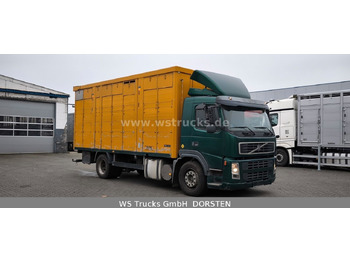Camion chevaux Volvo FM 260 mit KABA 2 Stock Vollalu: photos 3