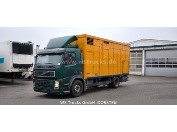 Camion chevaux Volvo FM 260 mit KABA 2 Stock Vollalu: photos 2