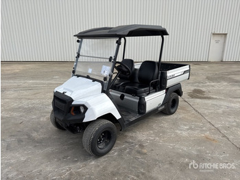 Voiturette de golf 2022 Yamaha UMX 4x2 Electric Buggy Electrique ATV: photos 2