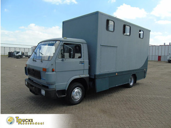 Camion chevaux MAN