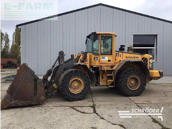 Mini pelle VOLVO L110E