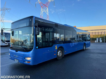 Bus MAN Lion's City A21